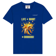 d2511f76-4c9e-47a6-a665-17f5a3b1c428